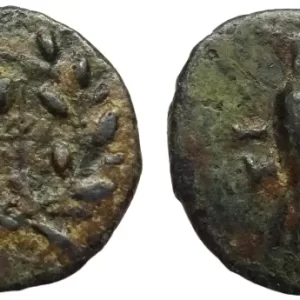 sicyon bronze coin
