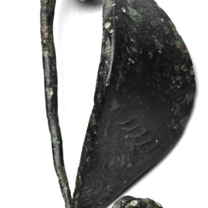 Iron age brooch