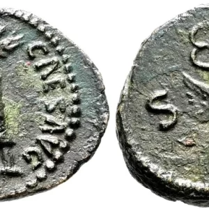 Nerva quadrans