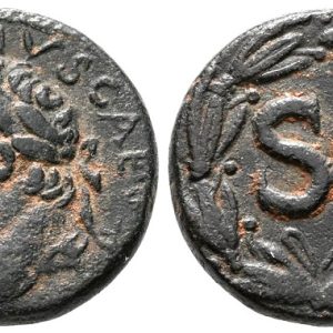 Domitian coin