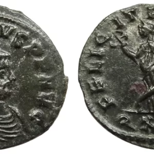 Carinus antoninianus