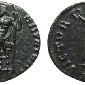Maximus daia AE coin