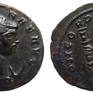 Severina antoninianus