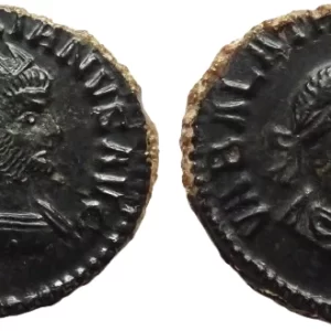 Vabalathus antoninianus