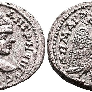Caracalla coin