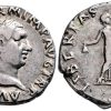 Vitellius denairus