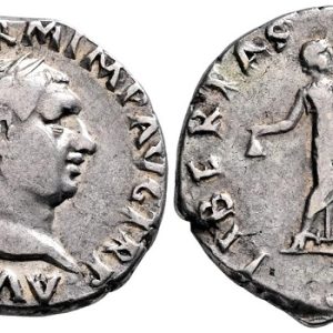 Vitellius denairus
