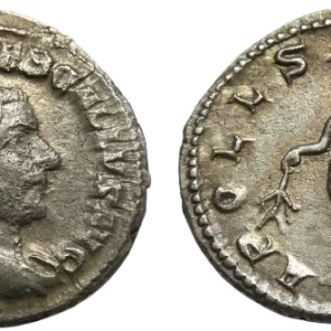 trebonianus gallus coin